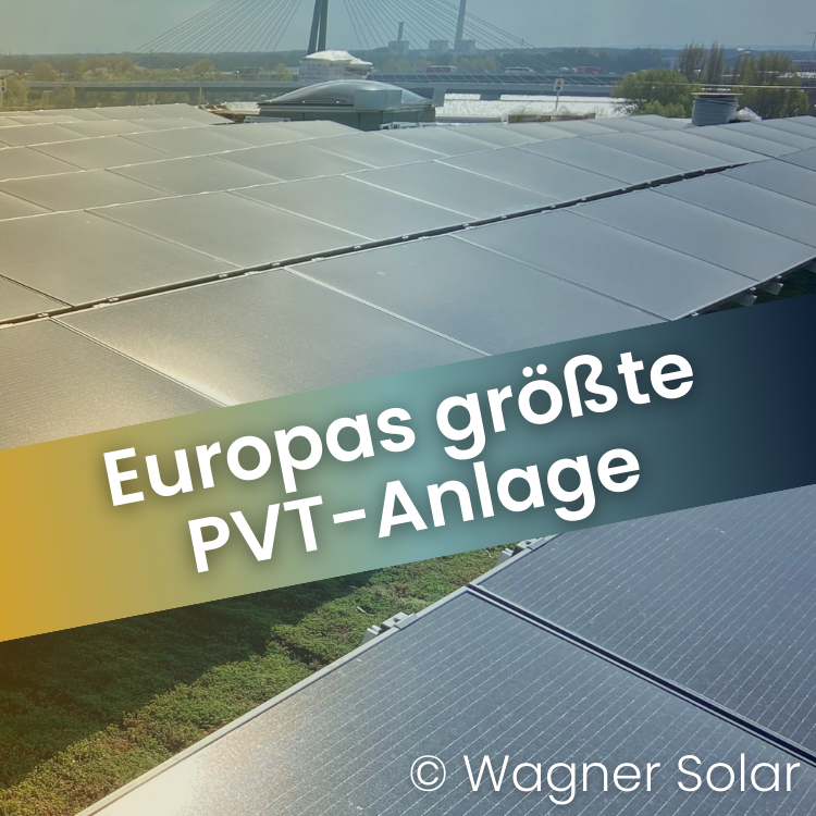 Referenz Klimaneutrale Sport Arena Wien