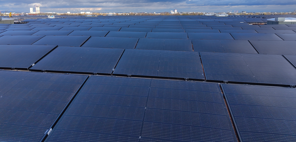 Large Sunmaxx PVT plant News section